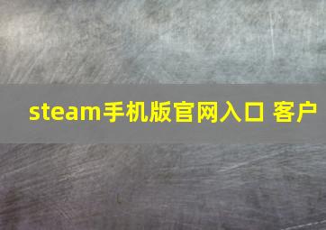 steam手机版官网入口 客户